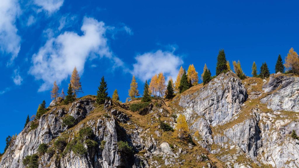 🚕 Taxi Alps Flachau - Tipps für einen unvergesslichen Aufenthalt in Wagrain-Kleinarl.
