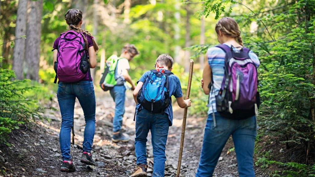 🚕 Taxi Alps Flachau - Wagrain-Kleinarl als familienfreundliches Urlaubsziel.